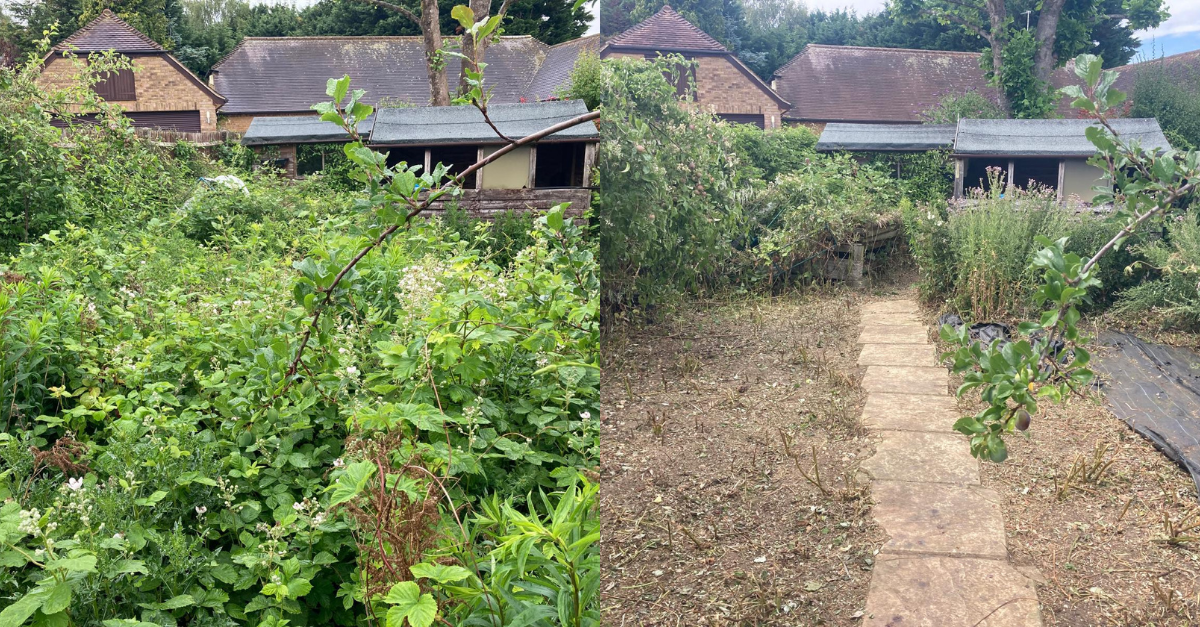 Garden before and after a reset